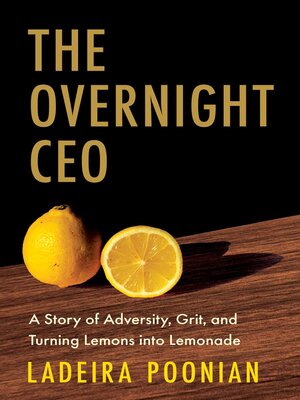 cover image of The Overnight CEO
